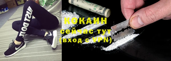 гашик Инсар