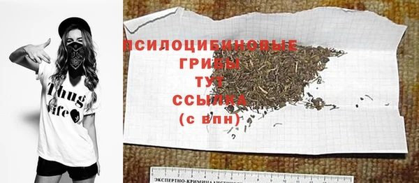 дурь Алзамай
